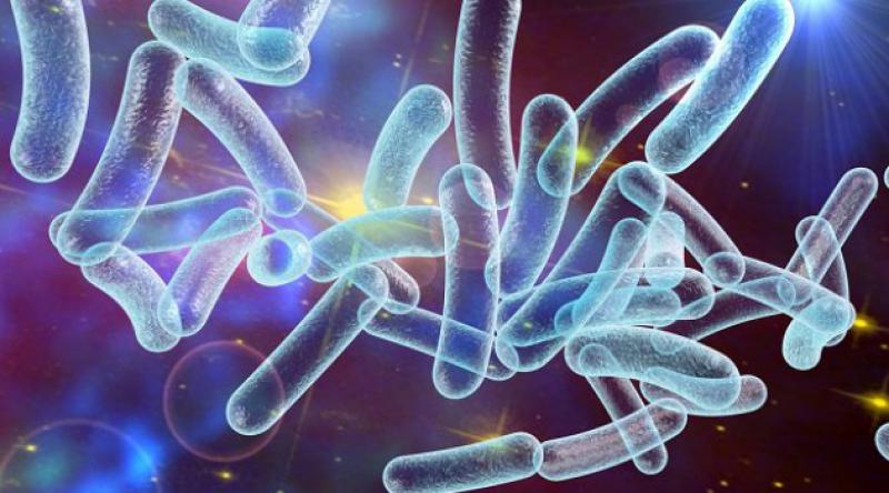 Gereksiz antibiyotik tüketimi 'kabus bakteri&#39; oluşumunu sağlıyor