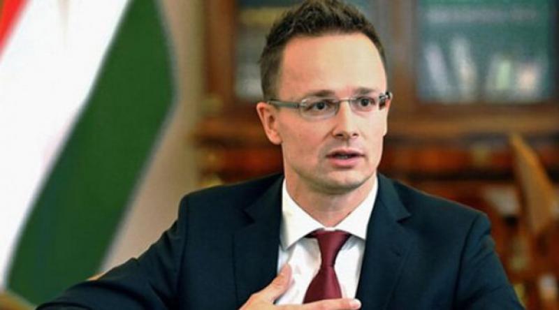 Macaristan Dışişleri Bakanı Szijjarto: Yaptıkları Türkiye'ye saygısızlık
