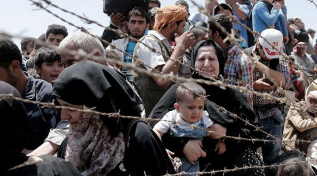 Mültecilere yardım eden Avrupalılar tutuklanıyor