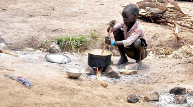 Nijerya'da 35 milyon çocuk açlıkla boğuşuyor