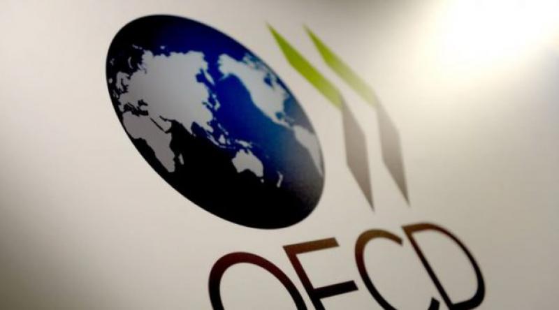 OECD: Türkiye ekonomisi 2019'da yüzde 2.6 küçülecek
