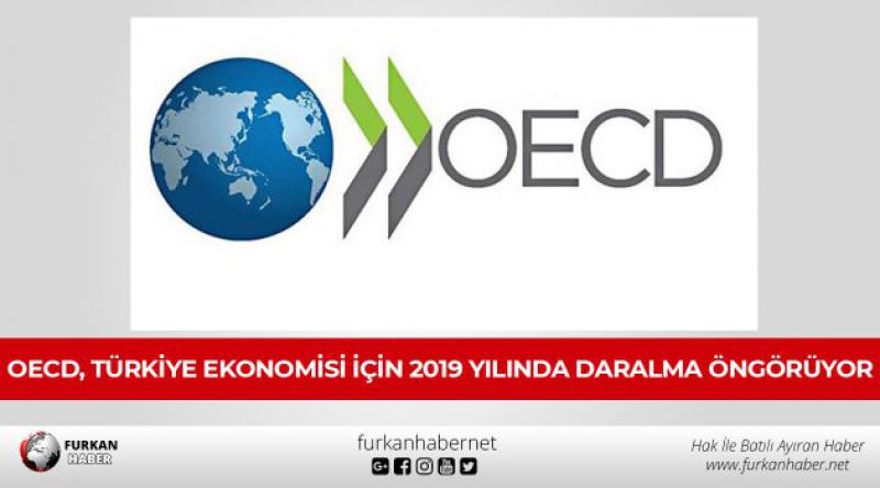 OECD, Türkiye ekonomisi için 2019 yılında daralma öngörüyor