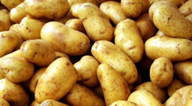 Patateste 'sıfır gümrük vergisi&#39; uygulaması uzatıldı