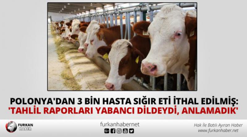 Polonya'dan 3 bin hasta sığır eti ithal edilmiş: &#39;Tahlil raporları yabancı dildeydi, anlamadık&#39;