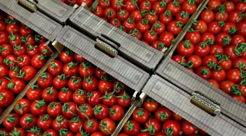 Rusya'ya domates ihracatı başladı