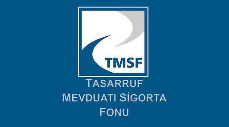 TMSF Cumhurbaşkanlığı'na Bağlandı