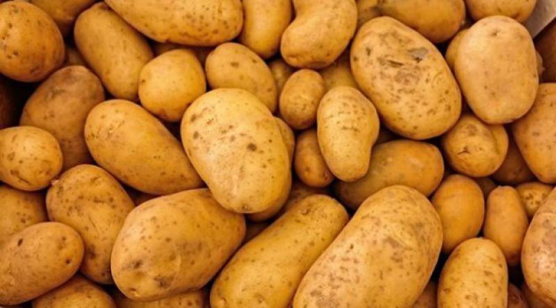 TZOB Genel Başkanı'ndan Patates Çağrısı